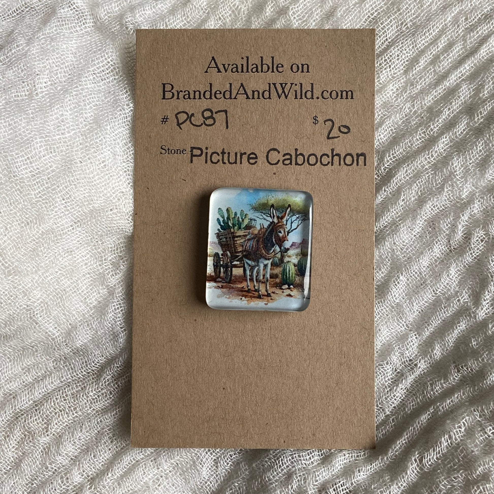 Picture Cabochon - Cabochon - PC87 1A34AF5C-59CB-4CE6-A895-B9469C3E9078 Brandedandwild.com