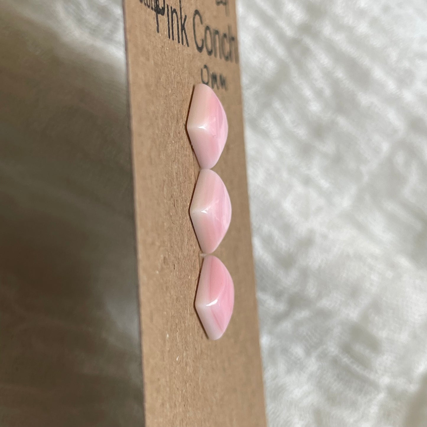 Pink Conch Cabochon - PC24