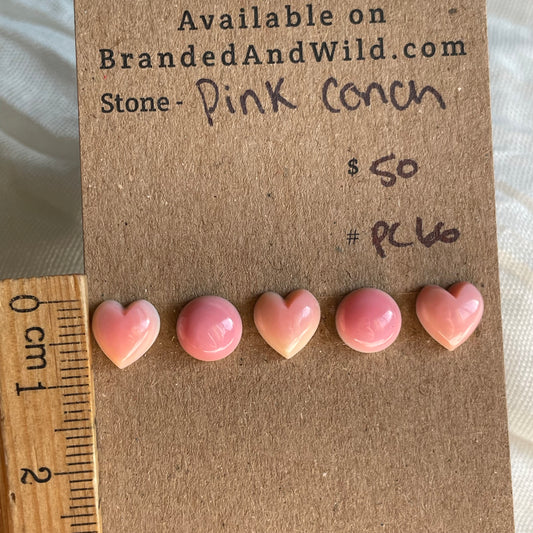 Pink Conch Cabochon - PC66 1A707482-BA69-4132-882F-F439E917115B Brandedandwild.com