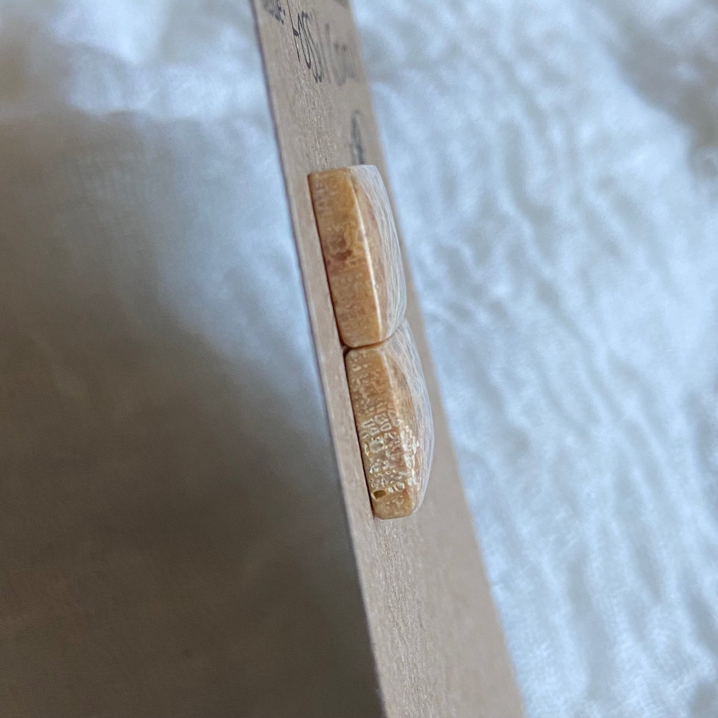Fossil Coral Cabochon - FC94