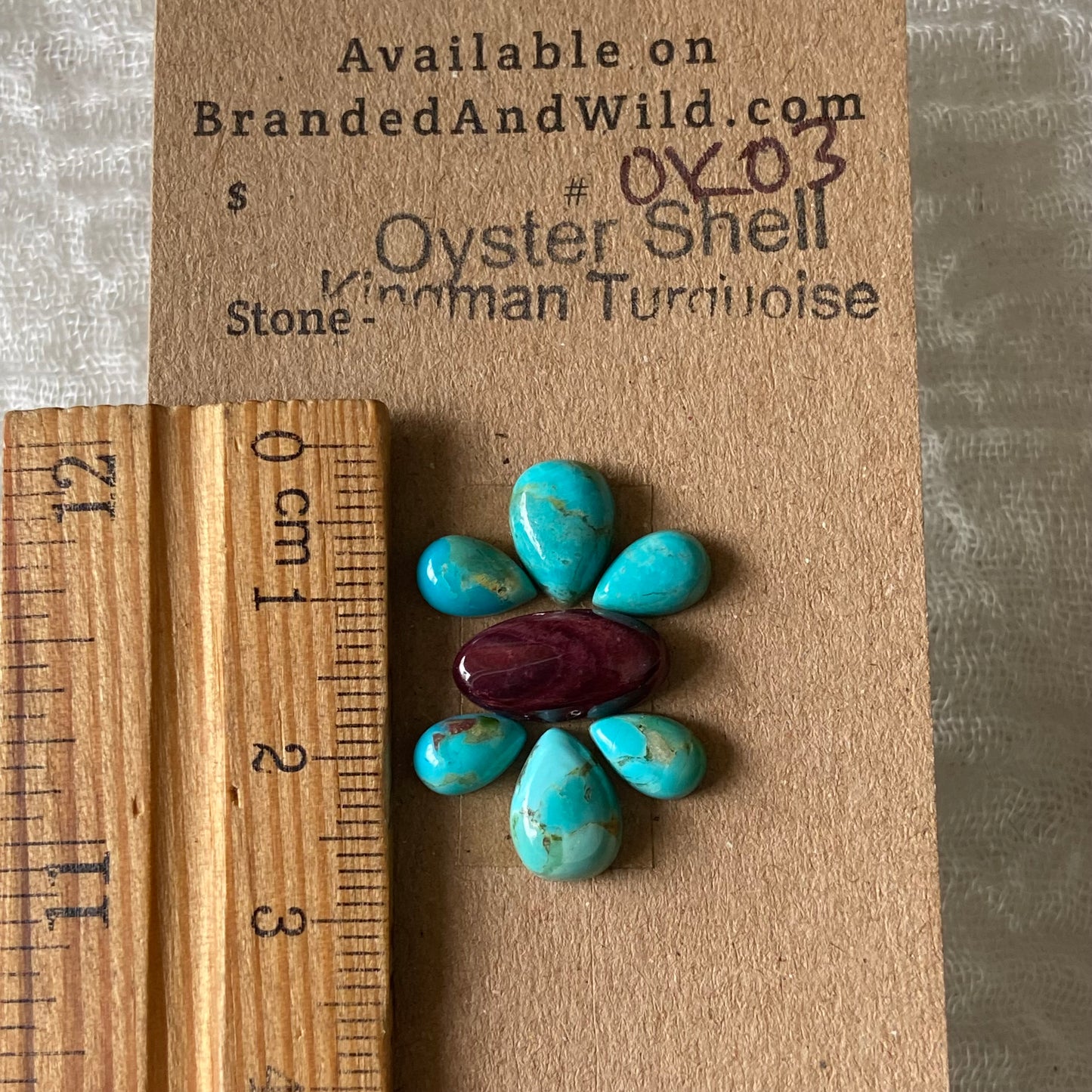 Kingman Turquoise / Oyster Shell Cabochon - OK03