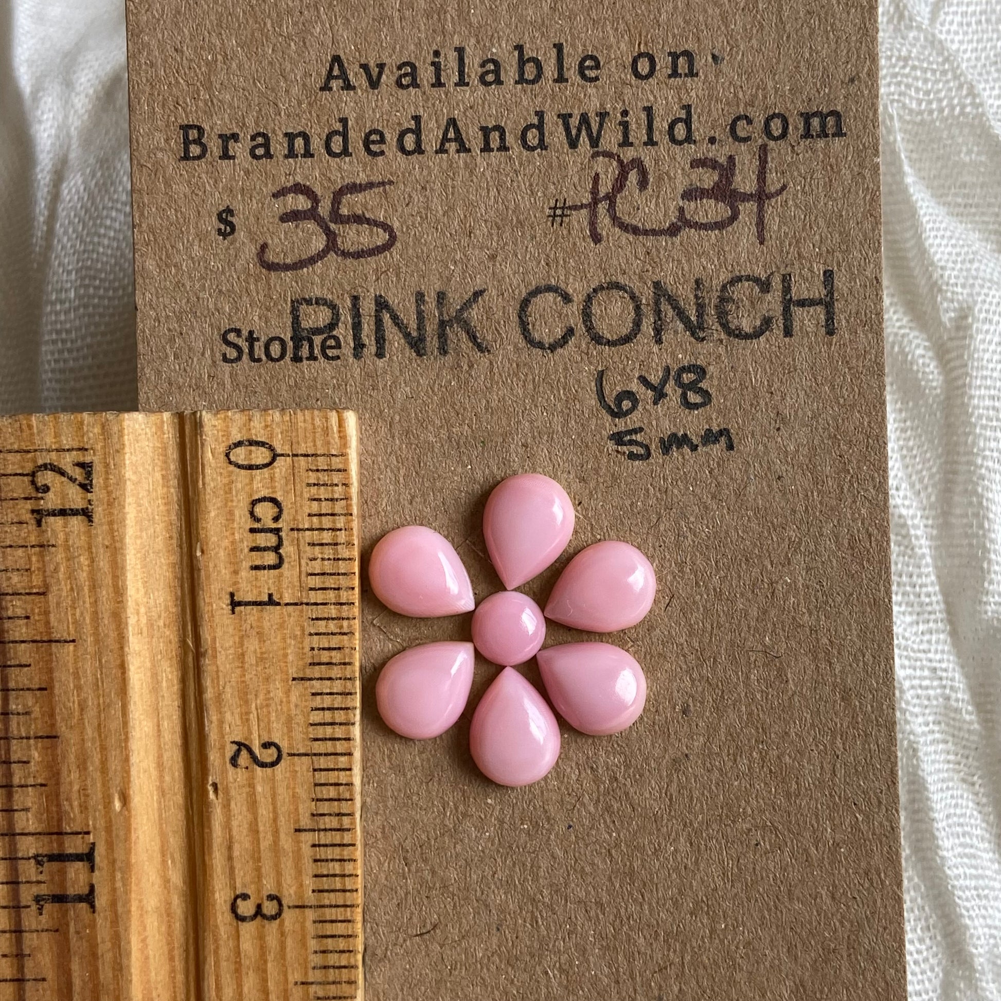 Pink Conch Cabochon - PC34 1AC559FA-09D5-4702-9526-CB47E3BCD9E2 Brandedandwild.com