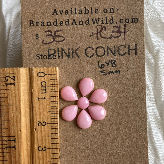 Pink Conch Cabochon - PC34 1AC559FA-09D5-4702-9526-CB47E3BCD9E2 Brandedandwild.com