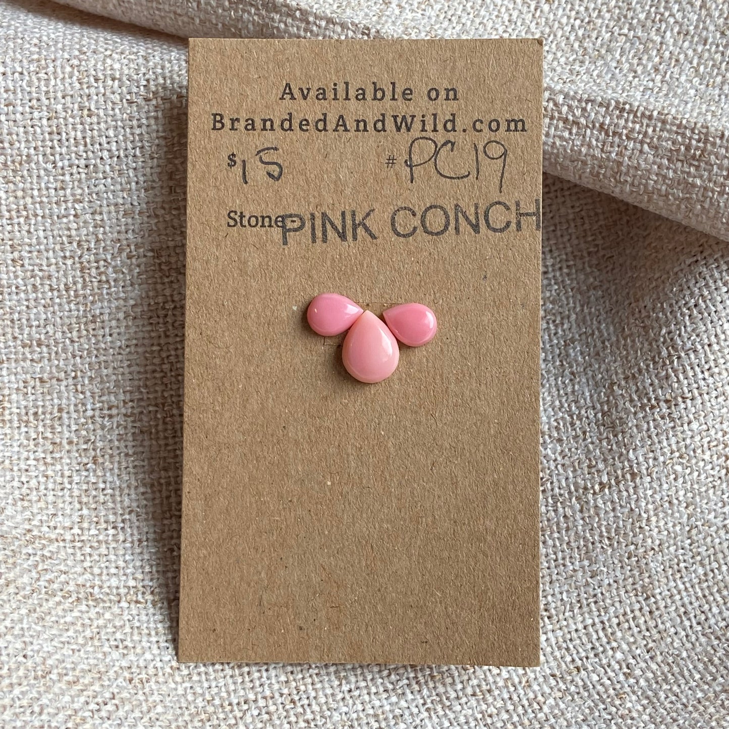 Pink Conch Cabochon - PC19 1AE31D31-8482-4C59-A81E-76084D4C772A Brandedandwild.com