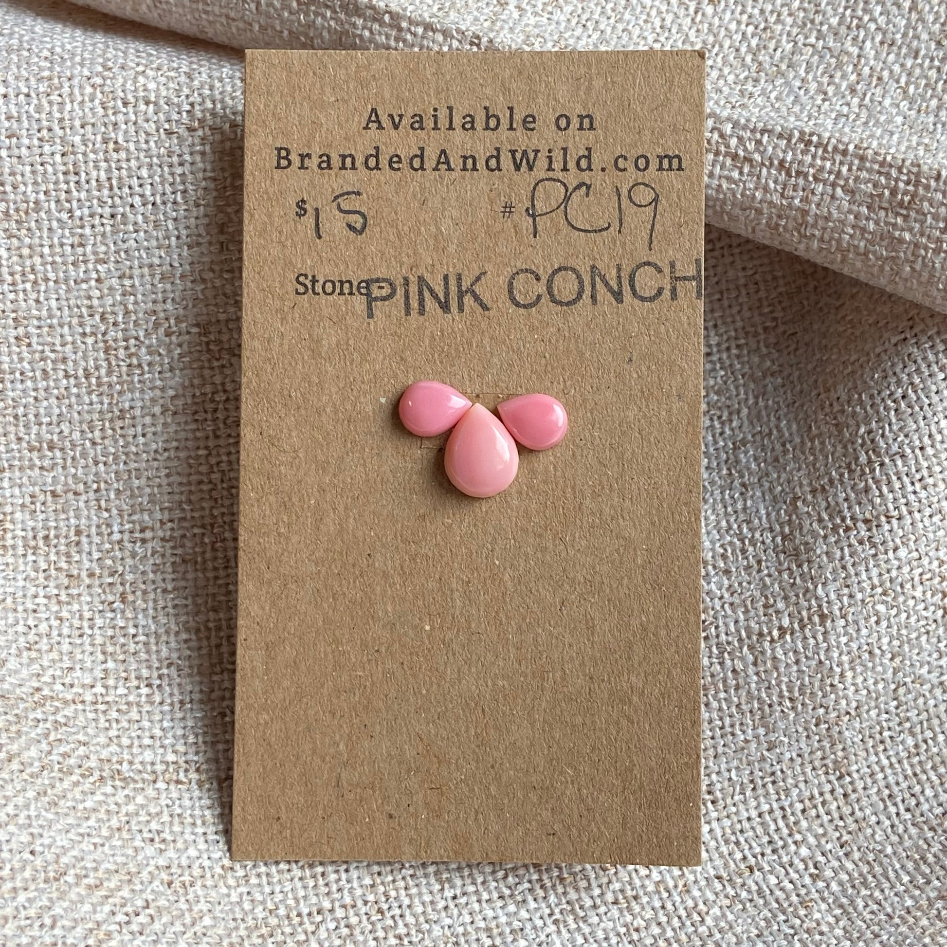 Pink Conch Cabochon - PC19 1AE31D31-8482-4C59-A81E-76084D4C772A Brandedandwild.com