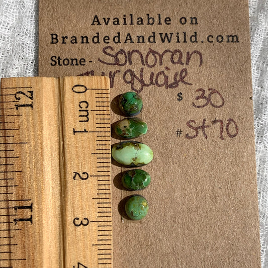 Sonoran Turquoise Cabochon - ST70