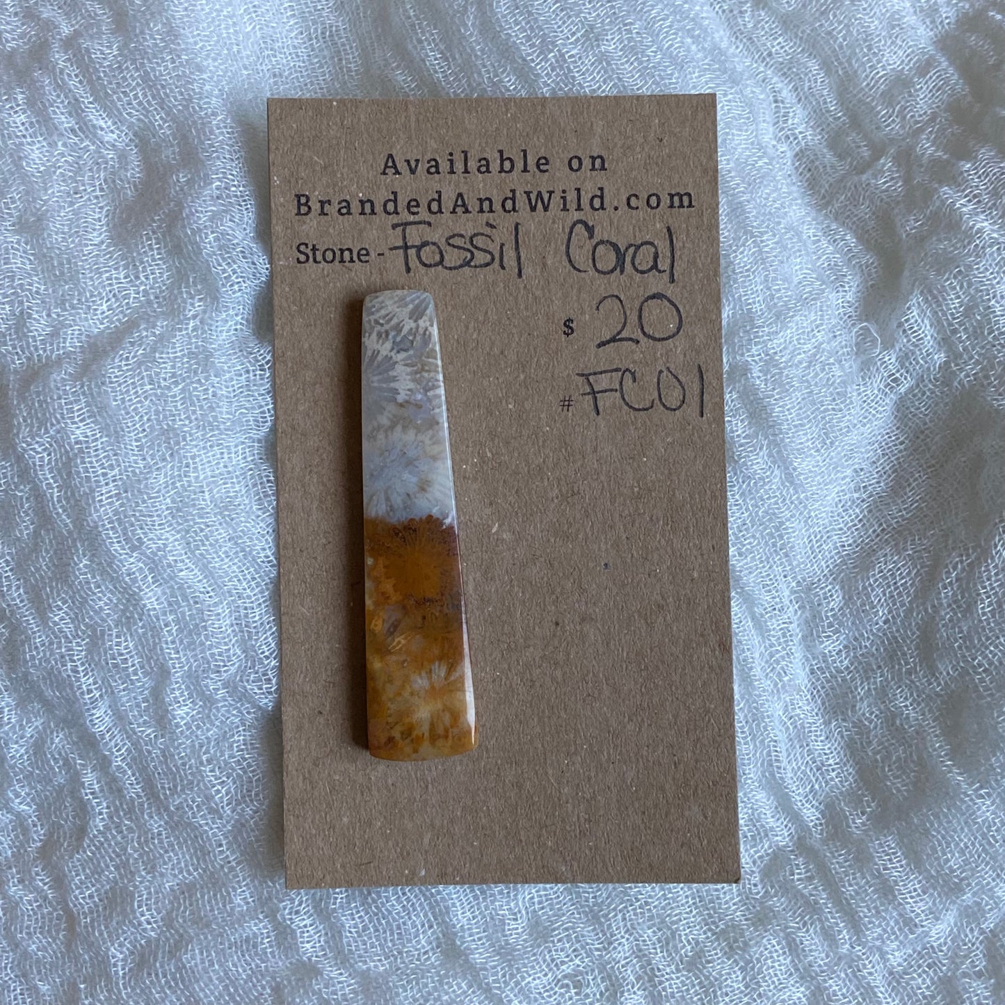 Fossil Coral Cabochon - FC01