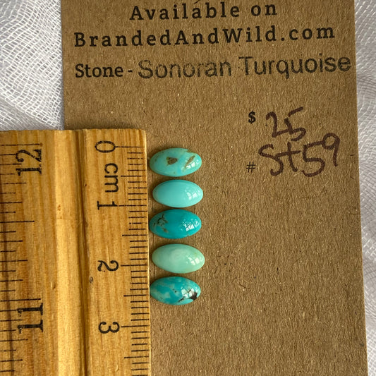 Sonoran Turquoise Cabochon - ST59