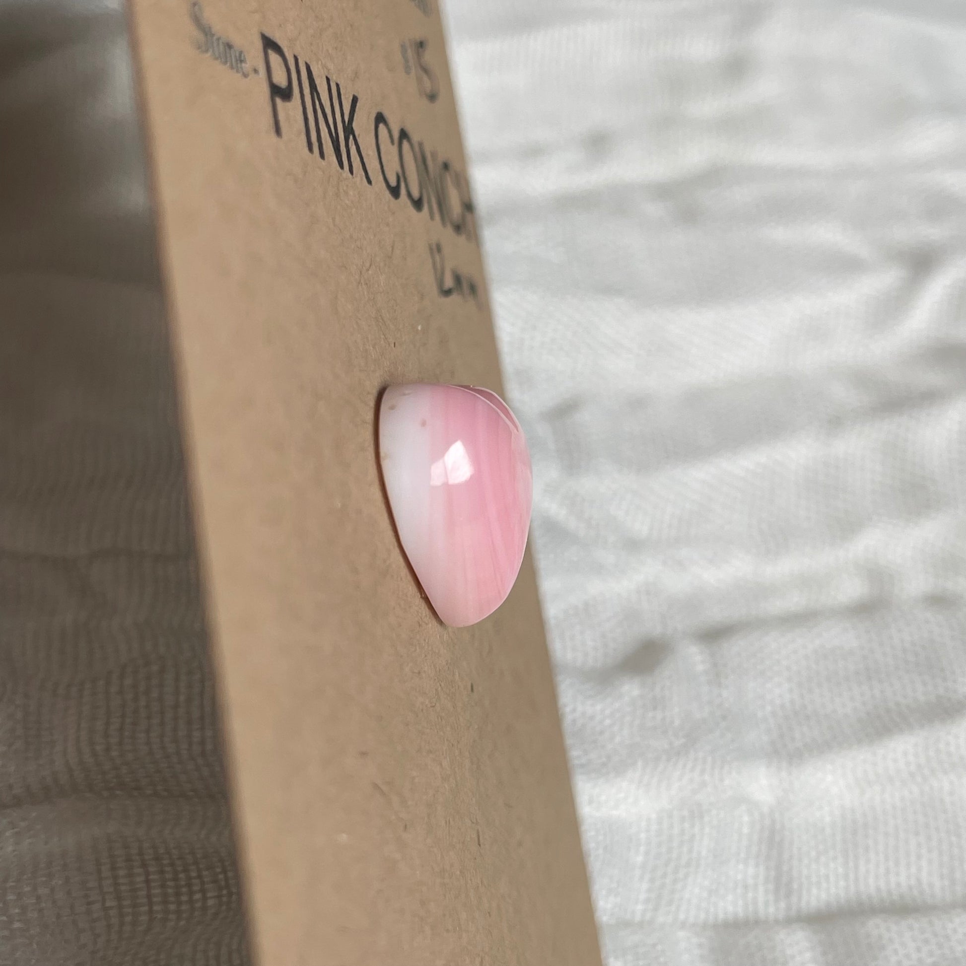 Pink Conch Cabochon - PC21 1B5E915E-5F24-4621-9FDA-490504707D97 Brandedandwild.com