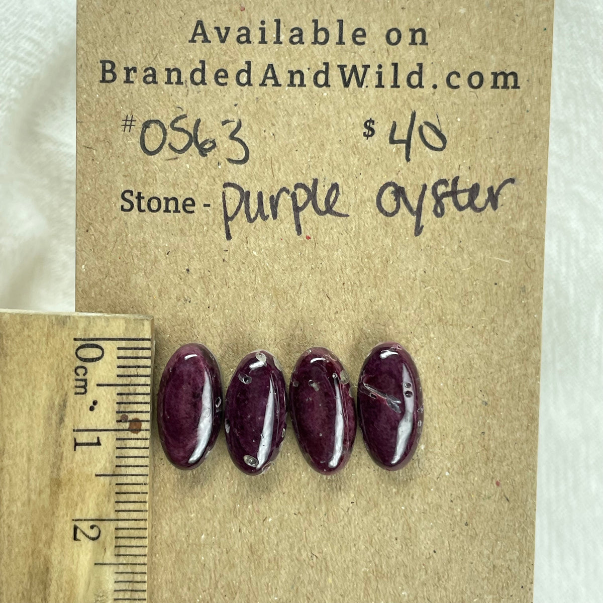 Oyster Shell Cabochon - OS63 1B621739-20FA-40B0-AF22-7704A44836B2 Brandedandwild.com