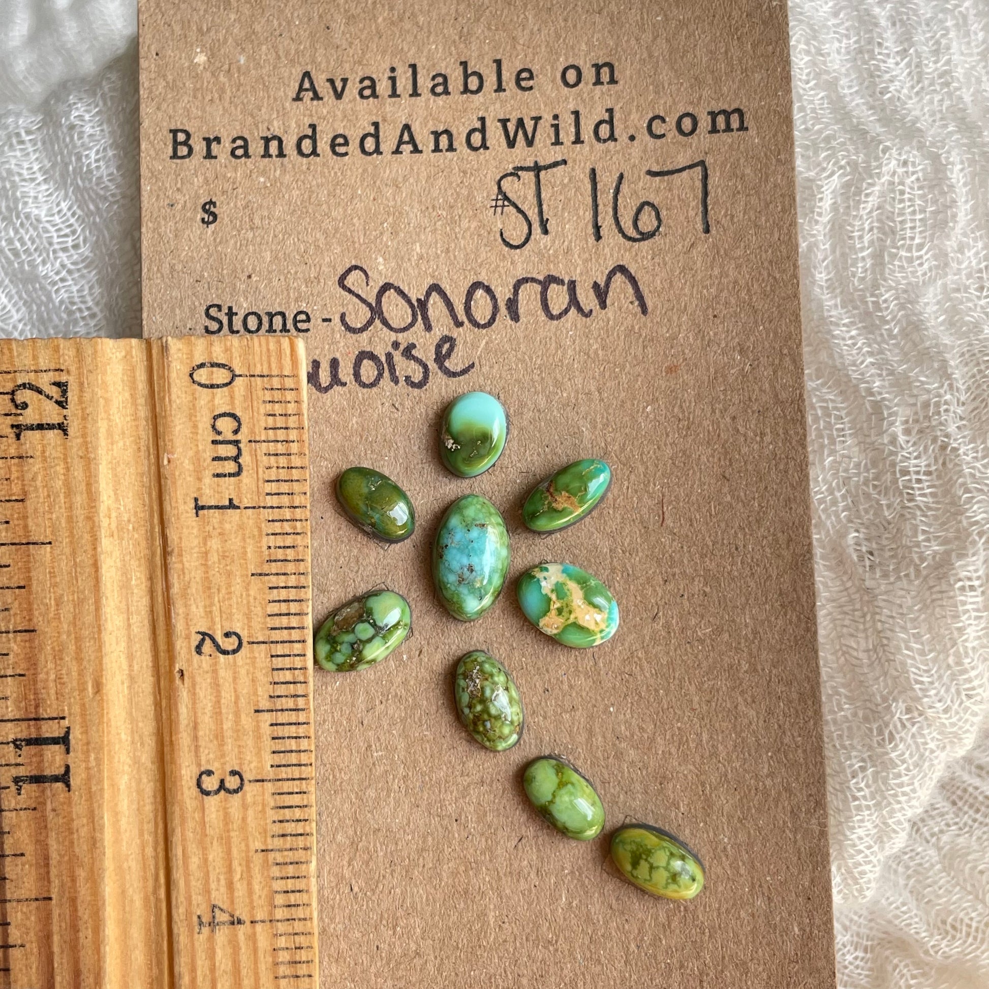Sonoran Turquoise Cabochon - ST167 1B70A403-E0B3-429B-9BF7-05DD9EE0C961 Brandedandwild.com
