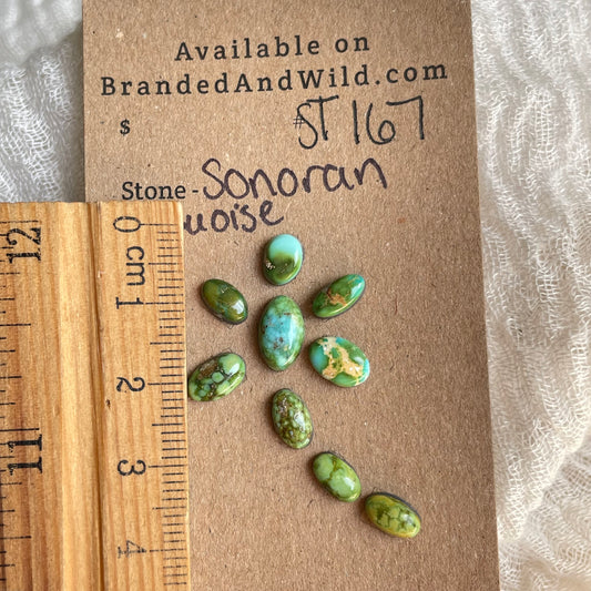 Sonoran Turquoise Cabochon - ST167 1B70A403-E0B3-429B-9BF7-05DD9EE0C961 Brandedandwild.com