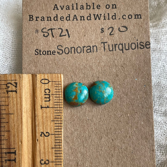 Sonoran Turquoise Cabochon - ST21 1B757A38-BD6D-4D4C-B620-E7EF800E696F Brandedandwild.com