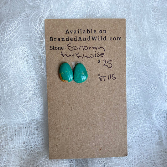 Sonoran Turquoise Cabochon - ST23