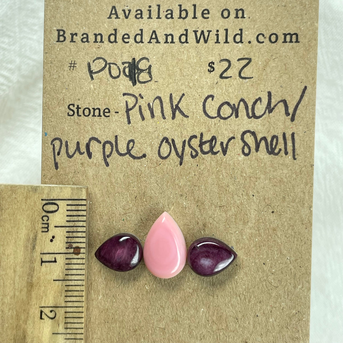 Pink Conch / Oyster Shell Cabochon - PO18 1BC1760A-156F-4392-BE34-56FE181027EC Brandedandwild.com
