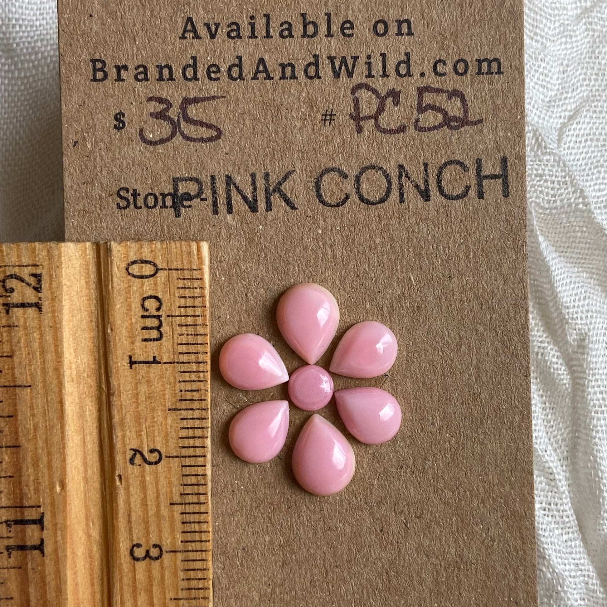 Pink Conch Cabochon - PC52 1BE8BF12-B0F1-4719-BD49-DC485DB6FC64 Brandedandwild.com