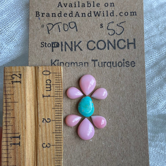 Pink Conch / Oyster Shell Cabochon - PK09 1C20D168-3302-4B20-A163-FC8B0A414AB6 Brandedandwild.com