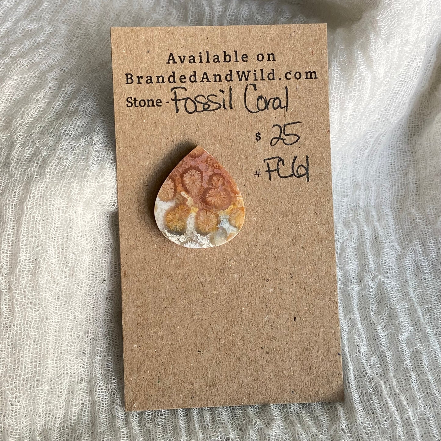 Fossil Coral Cabochon - FC61