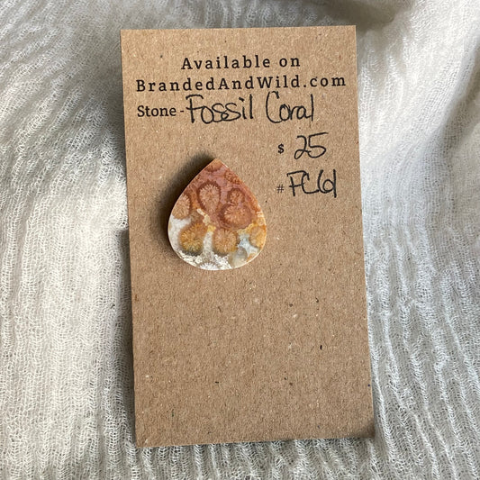 Fossil Coral Cabochon - FC61
