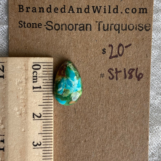 Sonoran Turquoise Cabochon - ST186
