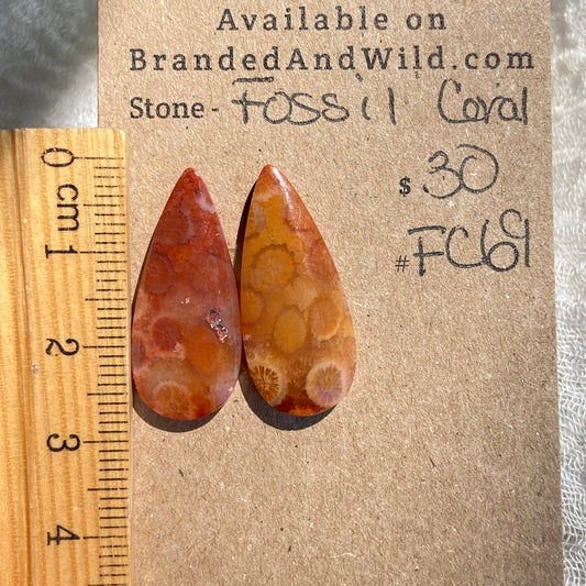 Fossil Coral Cabochon - FC69