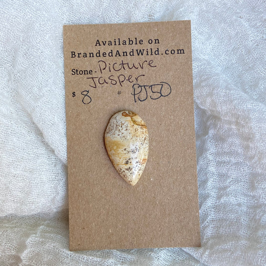 Picture Jasper Cabochon - PJ50