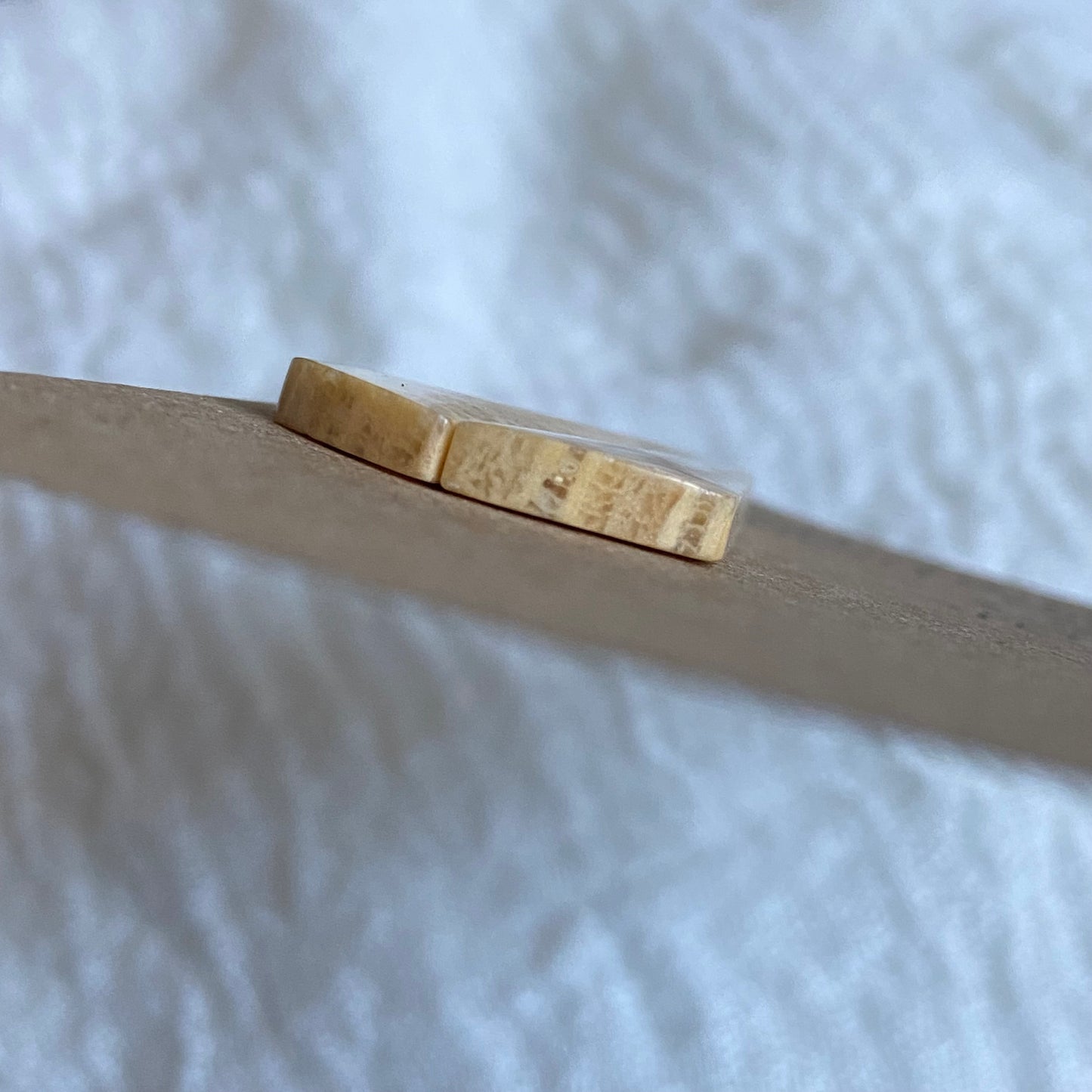 Fossil Coral Cabochon - FC74