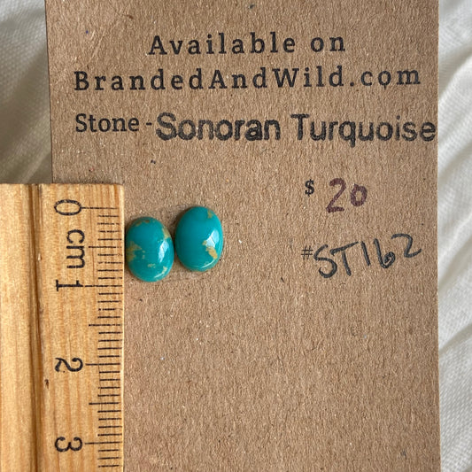 Sonoran Turquoise Cabochon - ST162 1CE74A55-DAC2-4E3D-90D2-FDEA9C371078 Brandedandwild.com