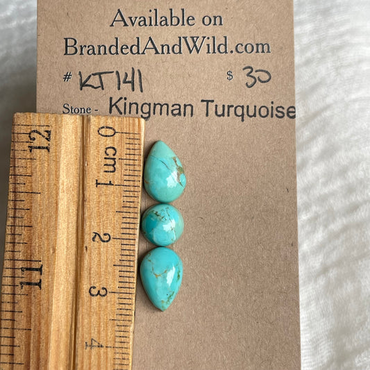 Kingman Turquoise Cabochon - KT141 1D13F4AD-D196-4AE6-BDBF-4BE8542AB48B Brandedandwild.com