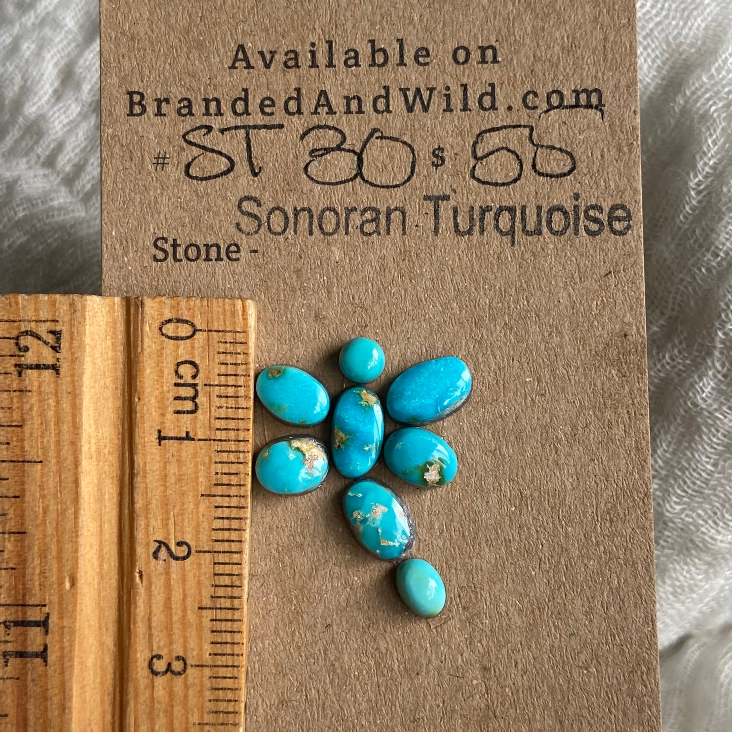 Sonoran Turquoise Cabochon - ST30