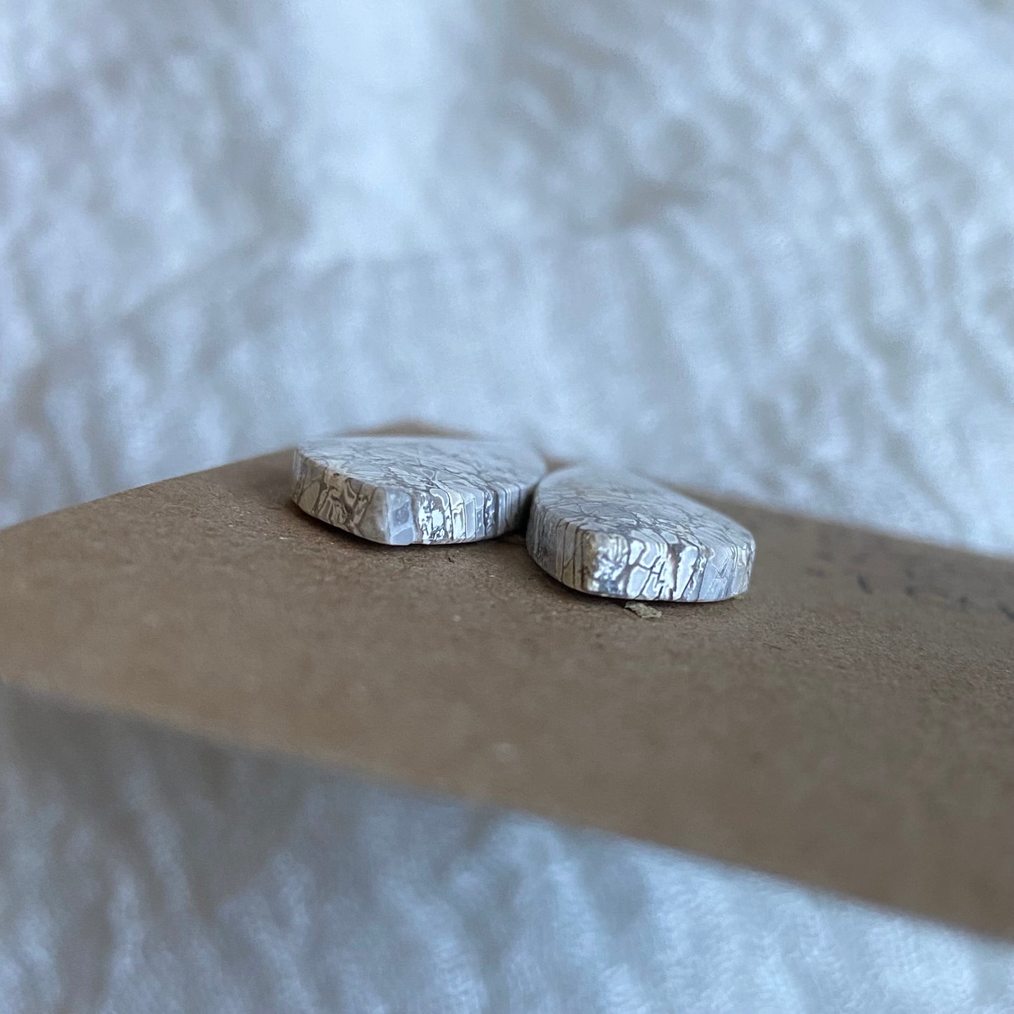 Fossil Coral Cabochon - FC44