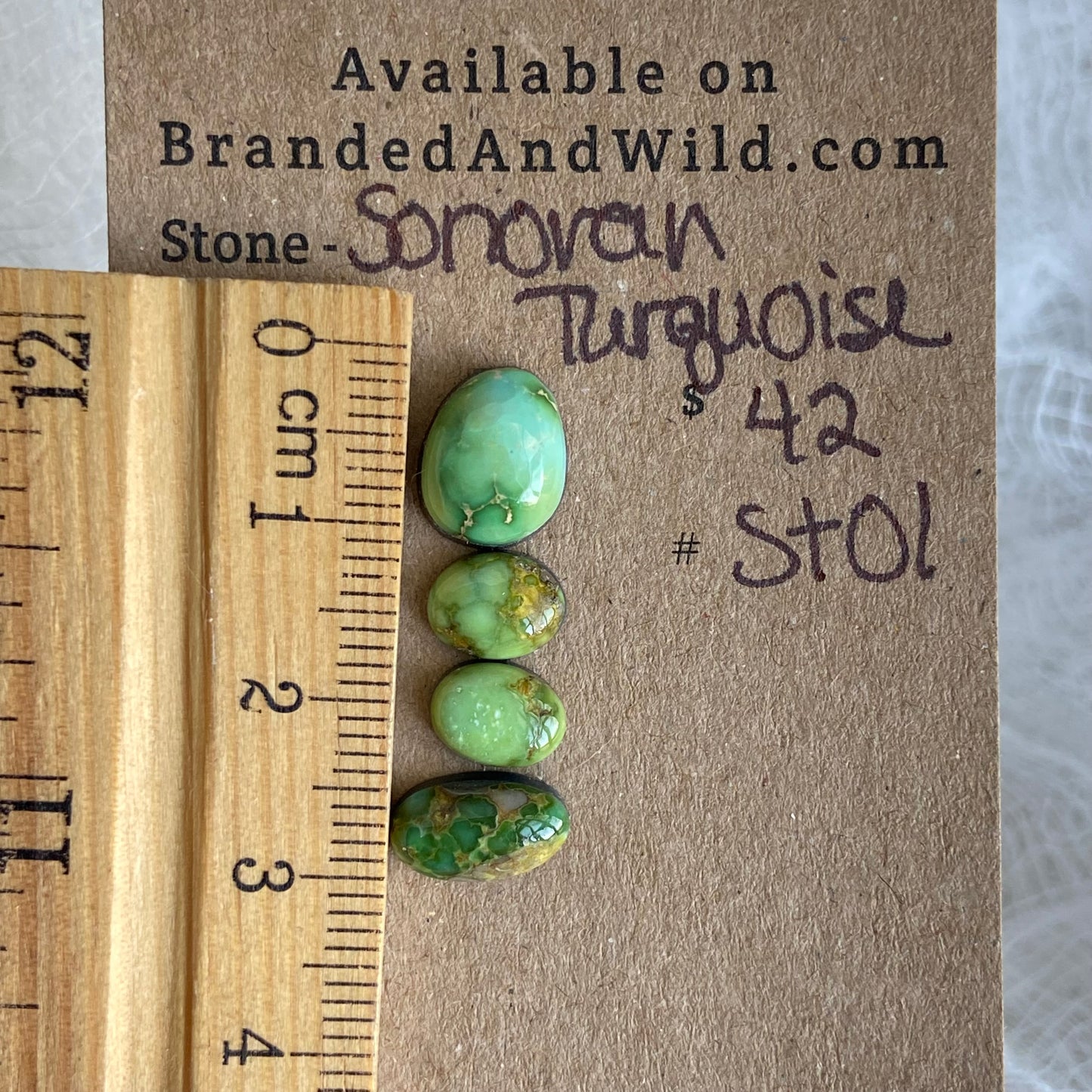 Sonoran Turquoise Cabochon - ST01