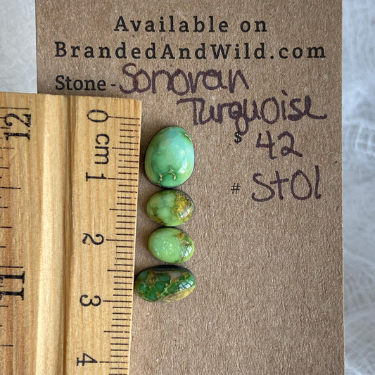 Sonoran Turquoise Cabochon - ST01