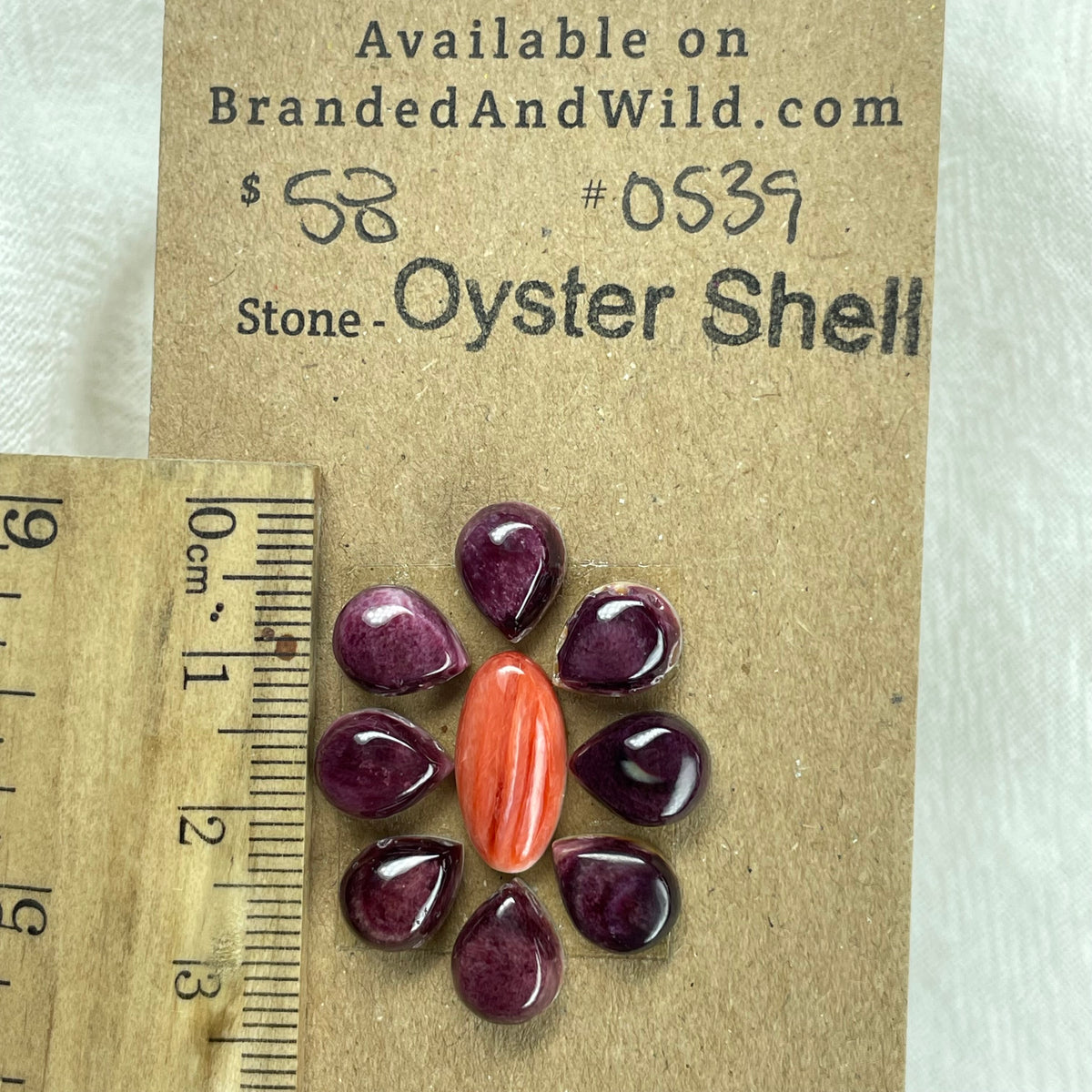 Oyster Shell Cabochon - OS39 1D605F2E-28D2-44A5-B116-1D8B4E34C1B3 Brandedandwild.com