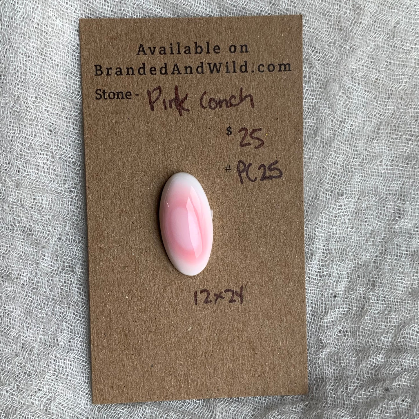 Pink Conch Cabochon - PC25