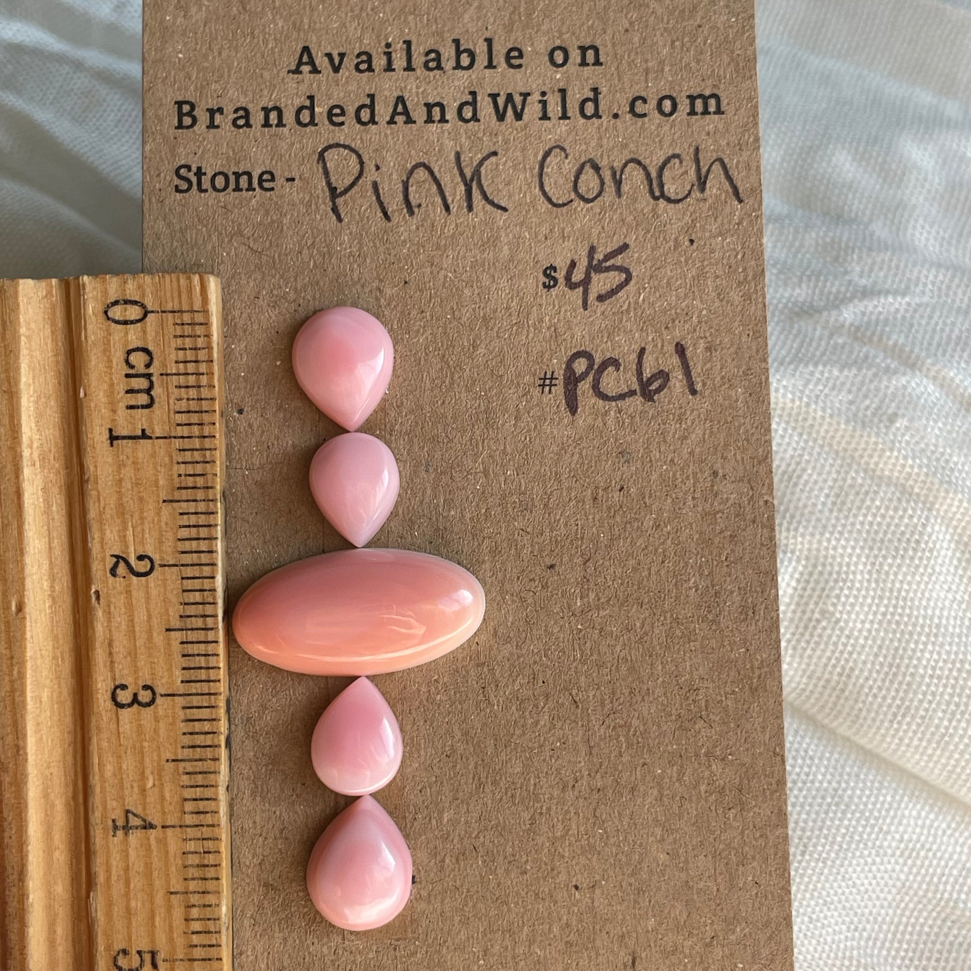 Pink Conch Cabochon - PC61 1D6EE292-D217-490B-9968-E1A2B515B448 Brandedandwild.com
