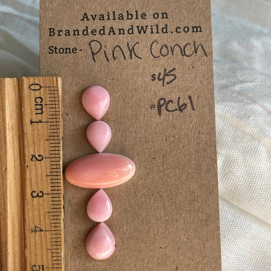 Pink Conch Cabochon - PC61 1D6EE292-D217-490B-9968-E1A2B515B448 Brandedandwild.com