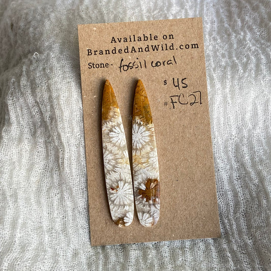 Fossil Coral Cabochon - FC27