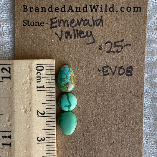 Emerald Valley Turquoise Cabochon - EV08