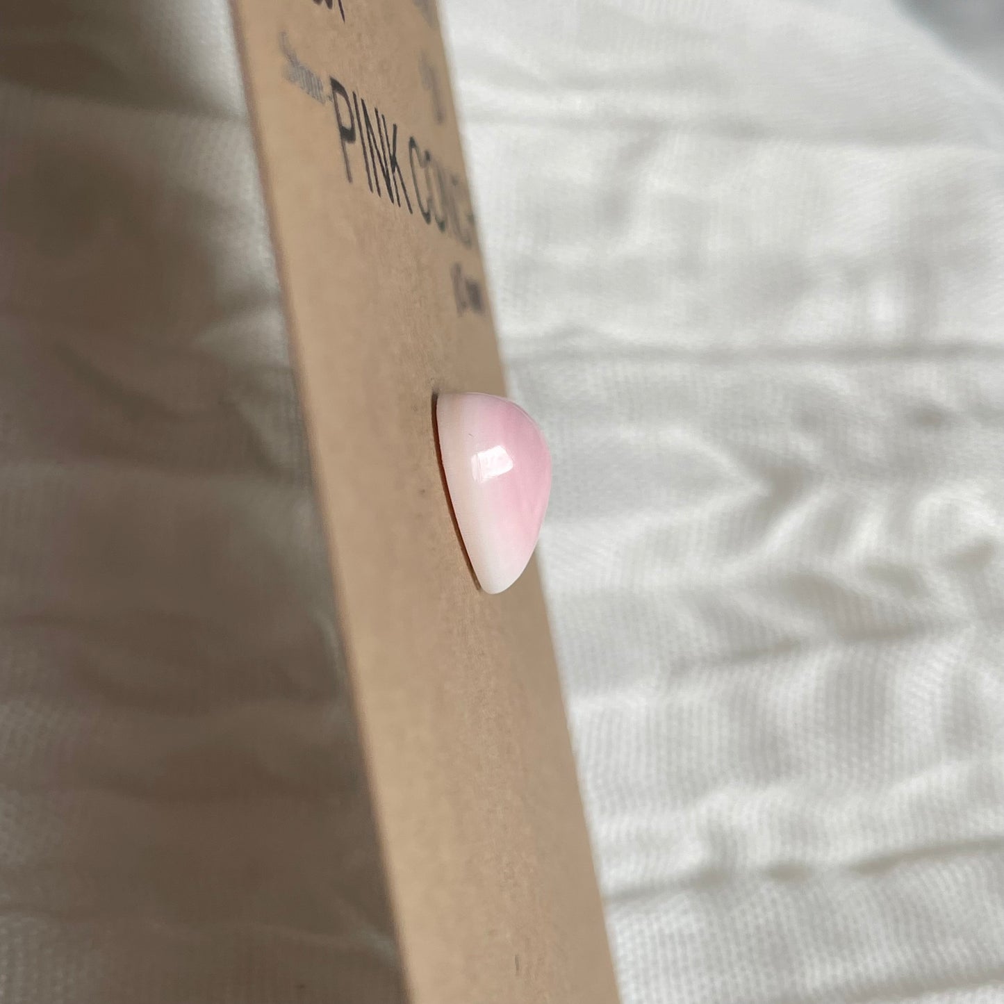 Pink Conch Cabochon - PC01 1DC8C6D0-BF64-482F-885C-A25430C36098 Brandedandwild.com