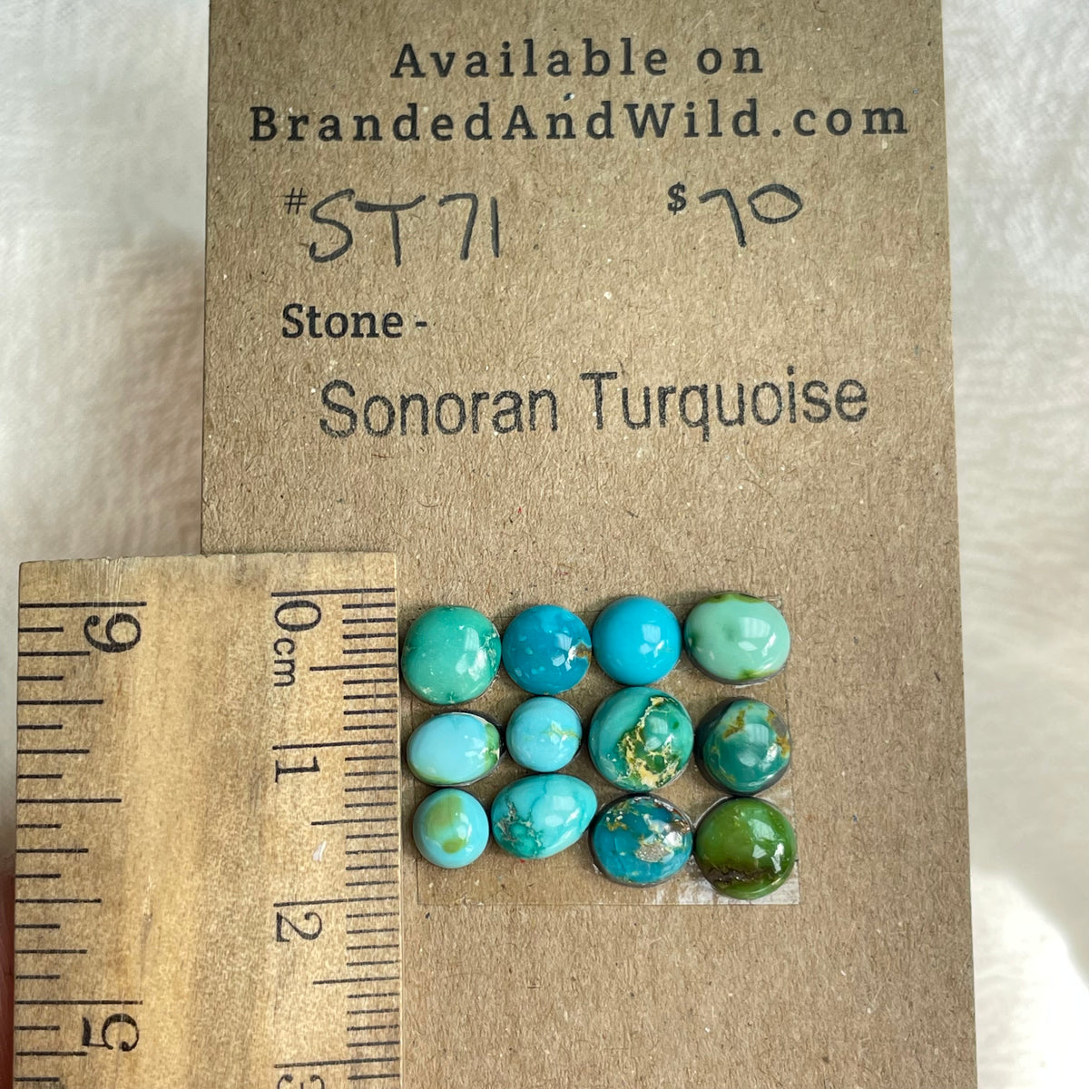 Sonoran Turquoise Cabochon - ST71 1DD05A5E-6419-4EDA-9B0C-A4911865D855 Brandedandwild.com