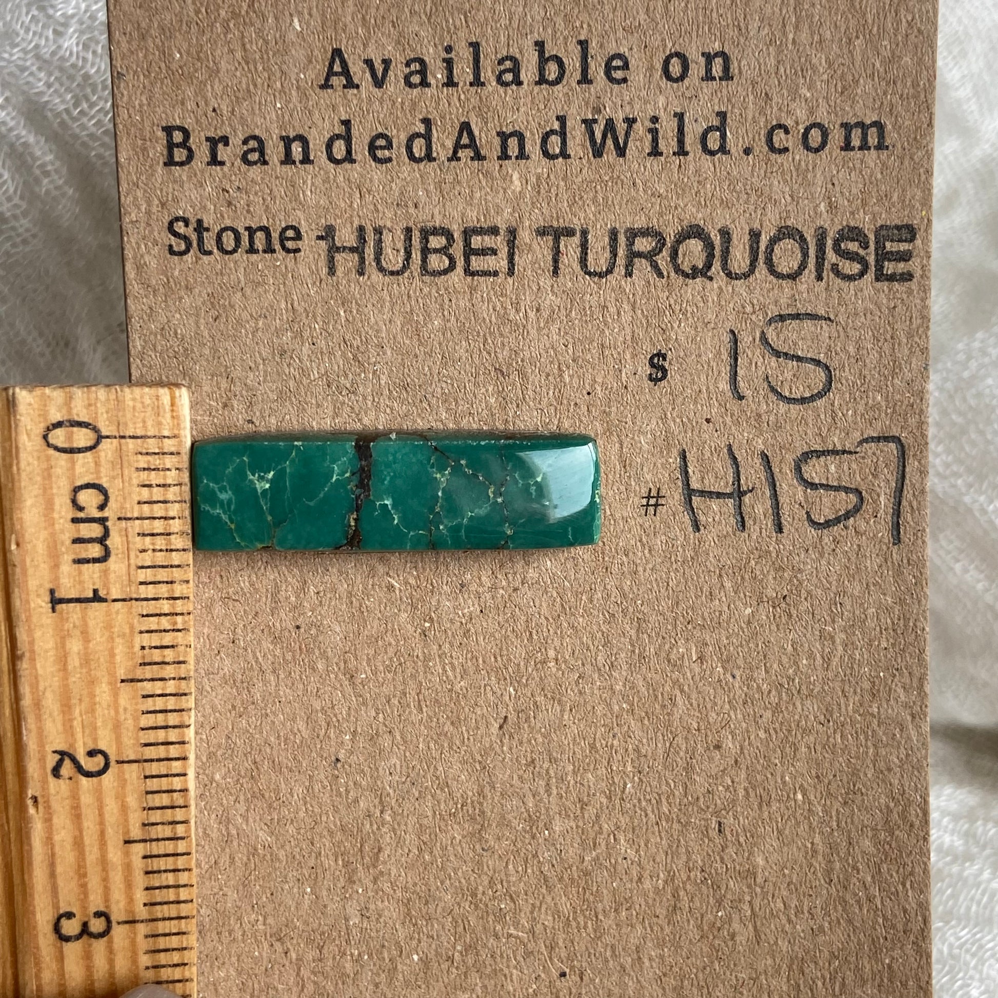 Hubei Turquoise Cabochon - H157 1DDD83B8-B68C-4A7C-B338-285BBA96F9E8 Brandedandwild.com