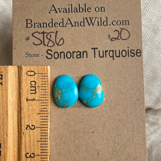 Sonoran Turquoise Cabochon - ST86 1DEB5759-D251-4B4D-AA36-50F819C4A6AA Brandedandwild.com