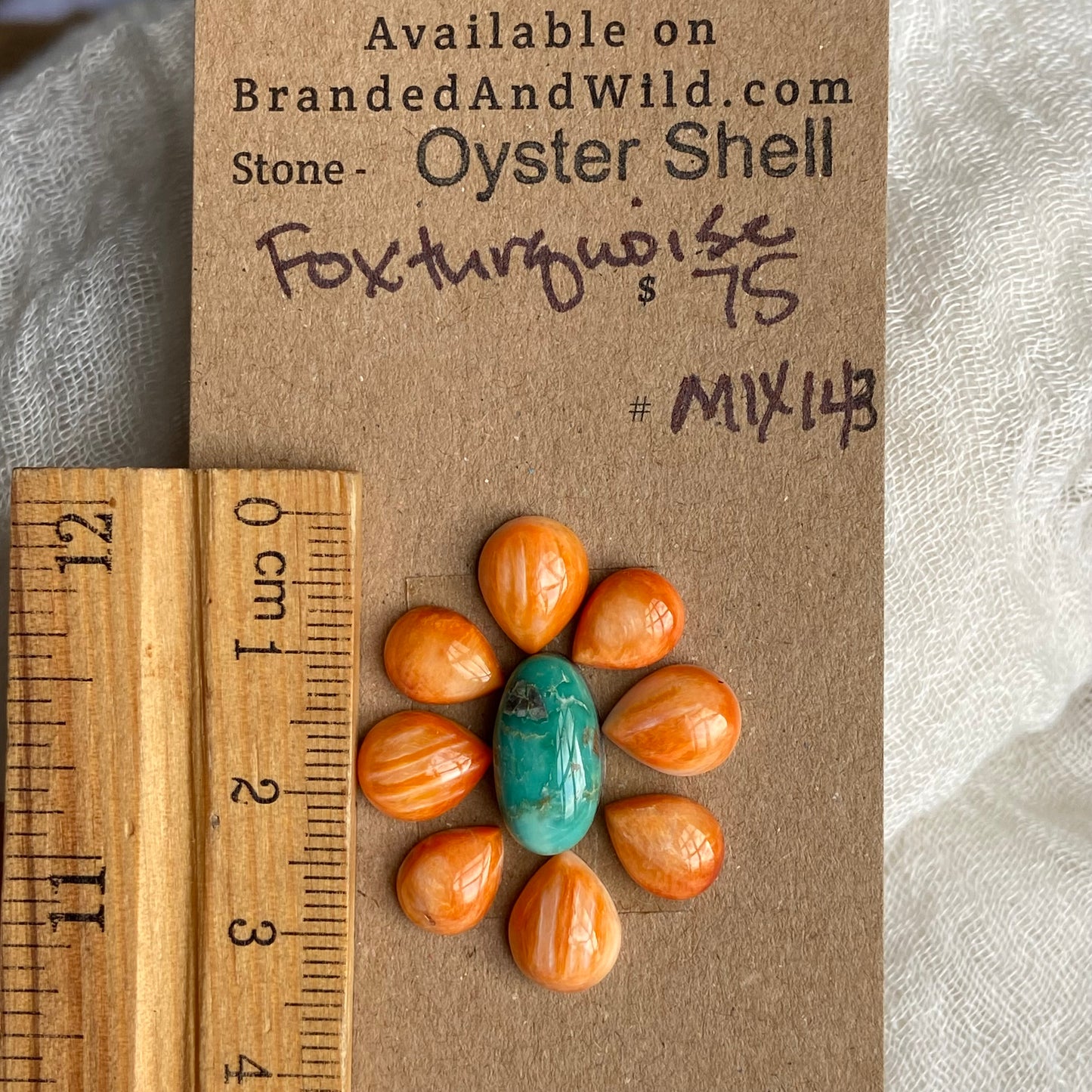 Oyster Shell / Fox Turquoise Cabochon - MIX143