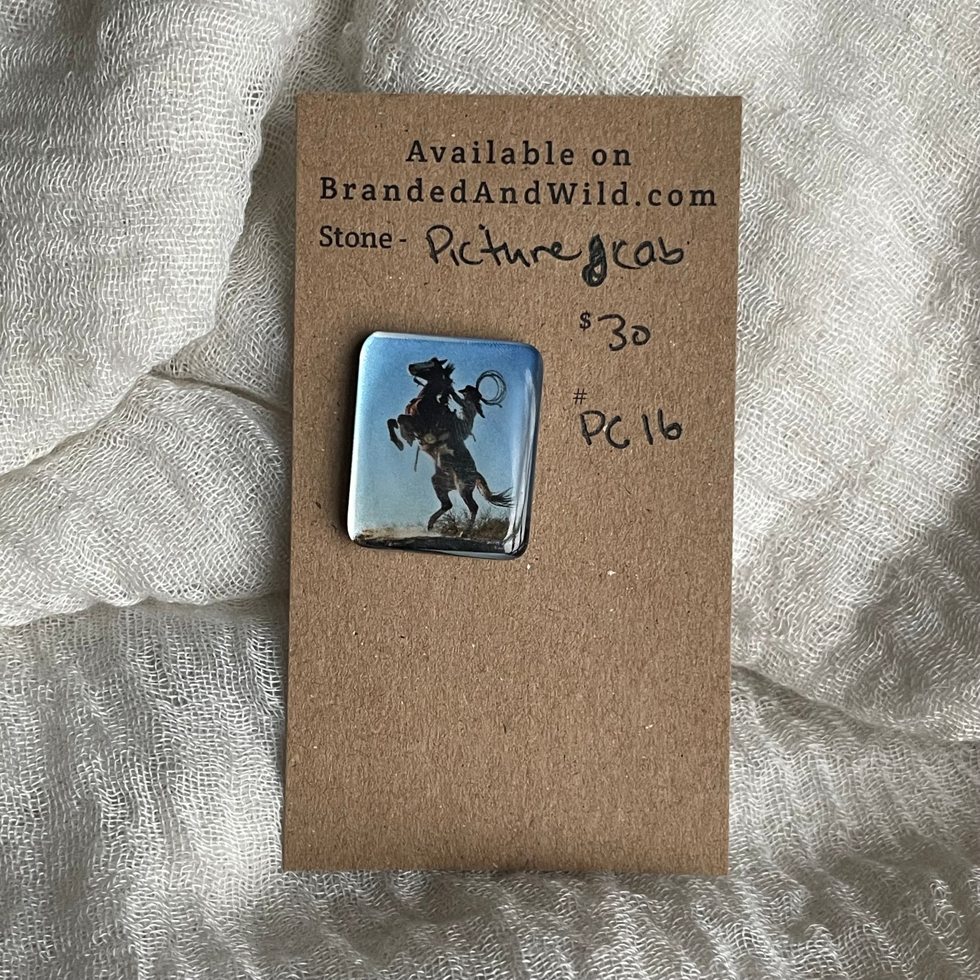 Picture Cabochon - Cabochon - PC16 1E1F3BFE-0F01-48B8-870A-9C32627DB2D9 Brandedandwild.com