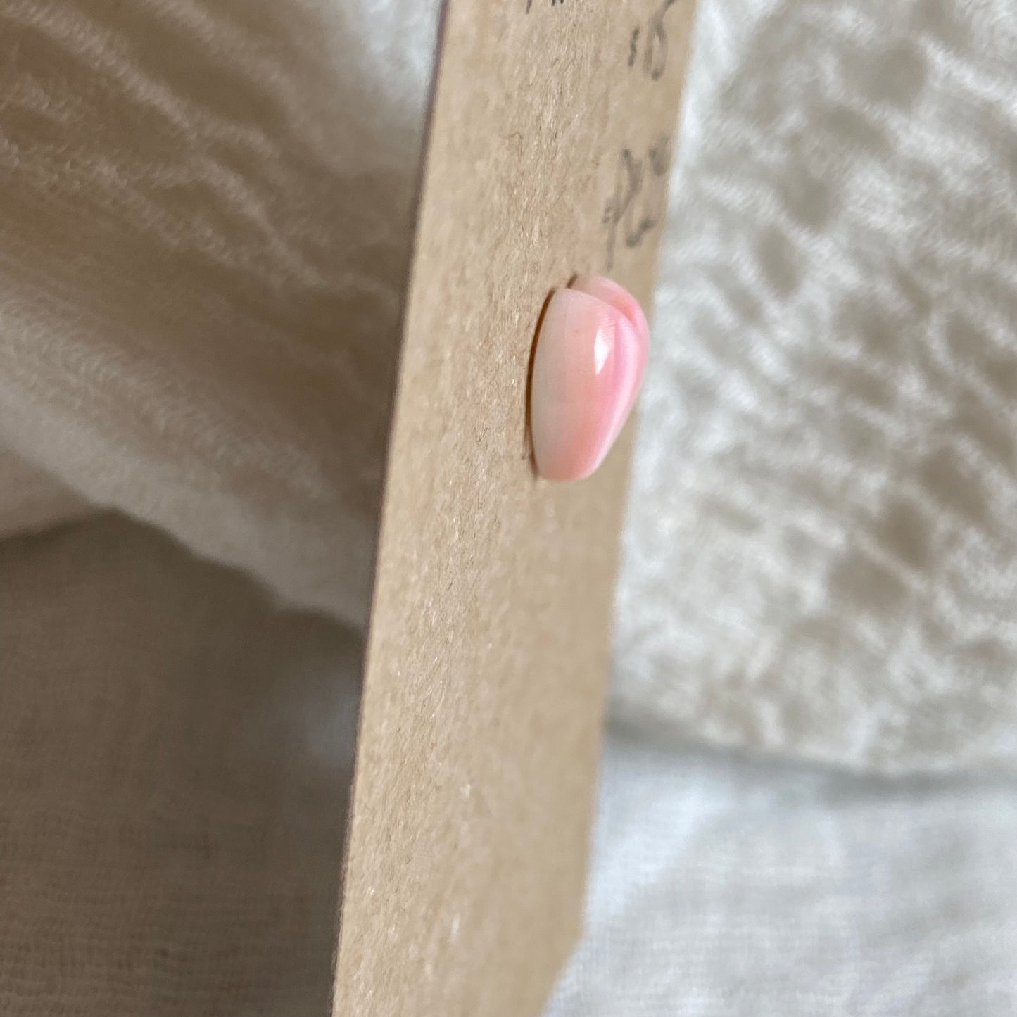 Pink Conch Cabochon - PC29