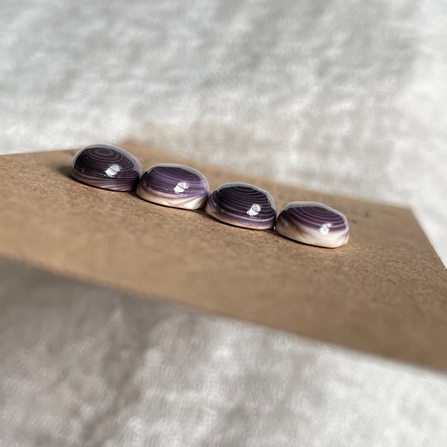 Wampum Quahog Shell Cabochon - WQS4 1EC2DFFA-42AF-495E-B1A4-B7C69522FE2A Brandedandwild.com