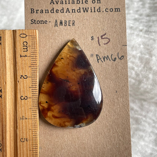 Amber Cabochon AM66 1EDAE665-DB30-4B49-8EC3-829F5D4FB6A4 Brandedandwild.com