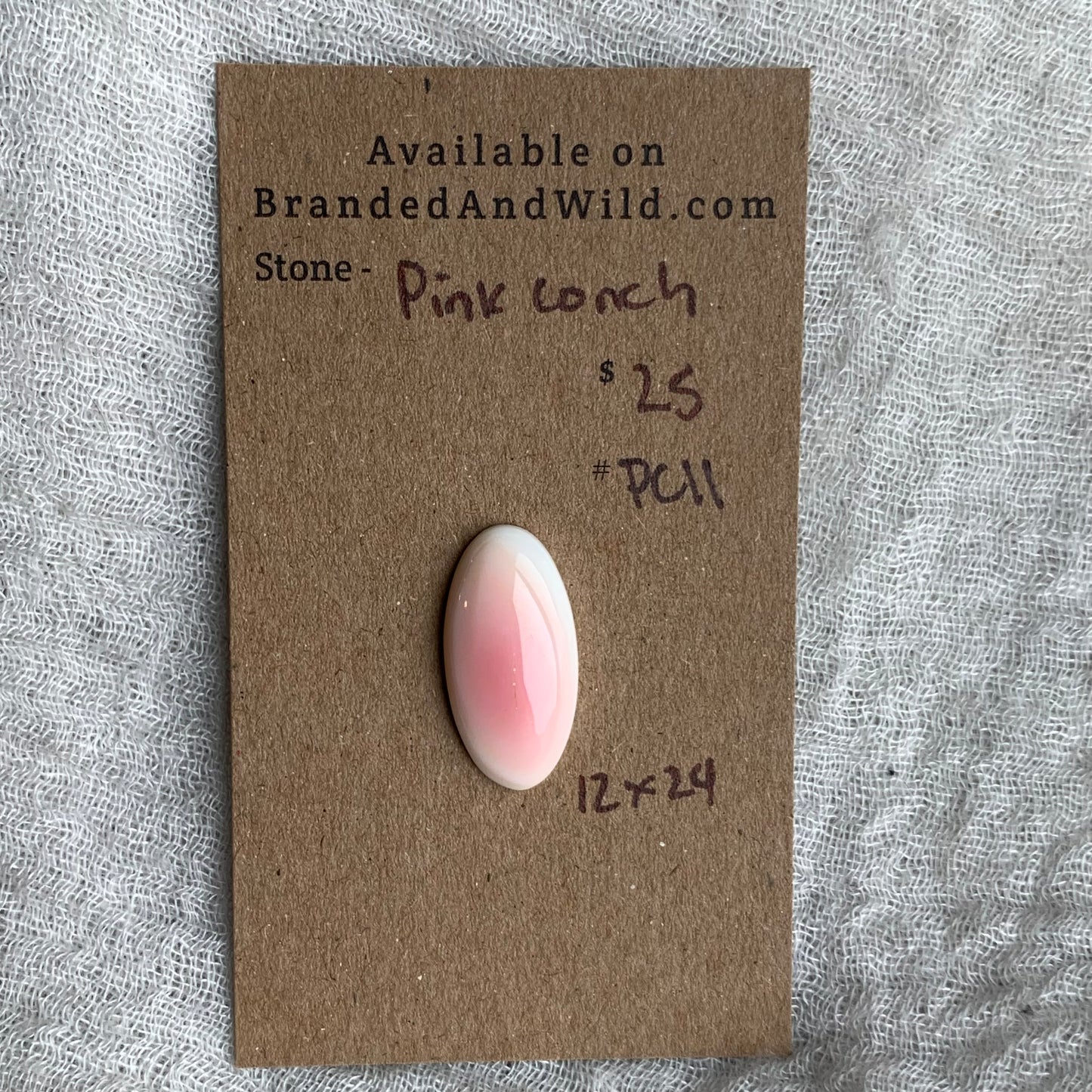 Pink Conch Cabochon - PC11