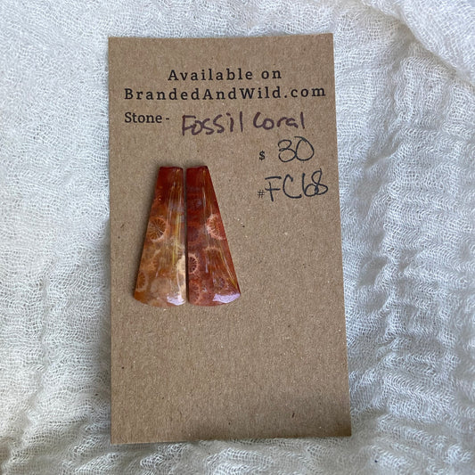 Fossil Coral Cabochon - FC68